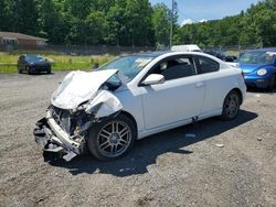 Vehiculos salvage en venta de Copart Finksburg, MD: 2005 Scion TC