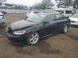 Salvage cars for sale at New Britain, CT auction: 2013 Volkswagen Passat SE