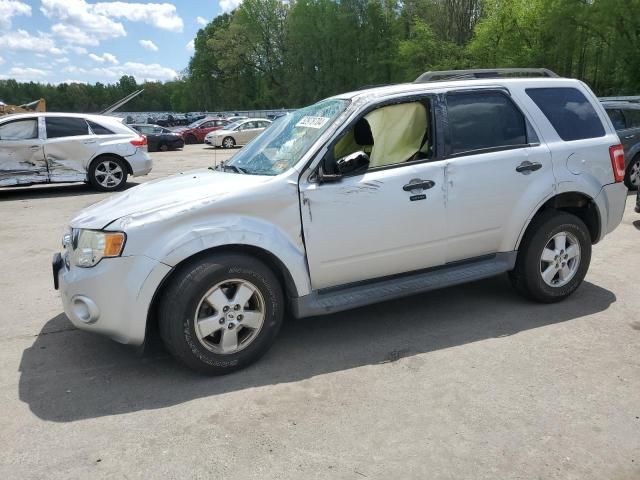 2009 Ford Escape XLT