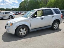 Salvage cars for sale from Copart Glassboro, NJ: 2009 Ford Escape XLT
