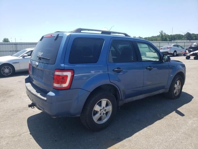 2009 Ford Escape XLT