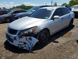 Honda Accord exl salvage cars for sale: 2010 Honda Accord EXL