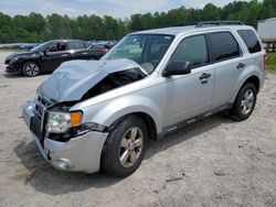 Vehiculos salvage en venta de Copart Charles City, VA: 2010 Ford Escape XLT