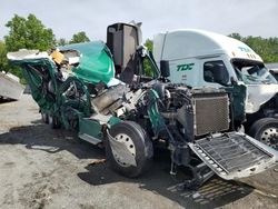 Salvage Trucks with No Bids Yet For Sale at auction: 2017 Freightliner Cascadia 125