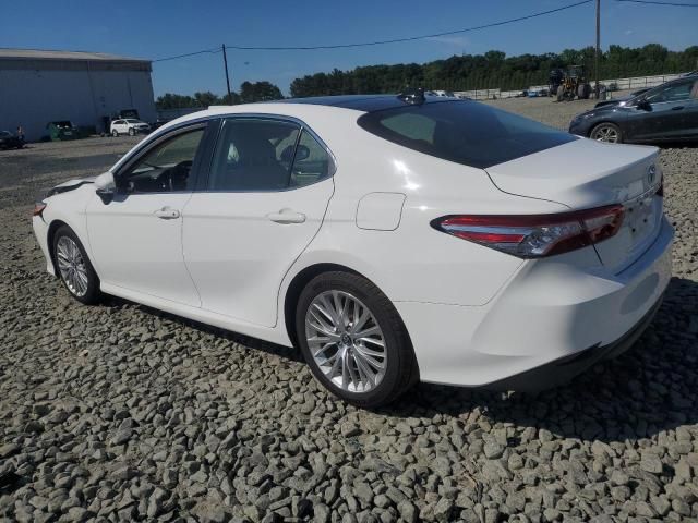 2019 Toyota Camry L