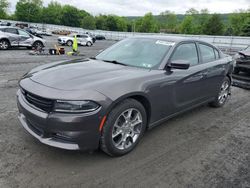 Salvage cars for sale at Grantville, PA auction: 2016 Dodge Charger SXT