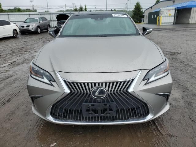 2019 Lexus ES 350