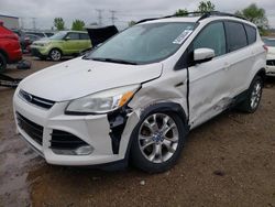 Ford Escape Vehiculos salvage en venta: 2013 Ford Escape SEL