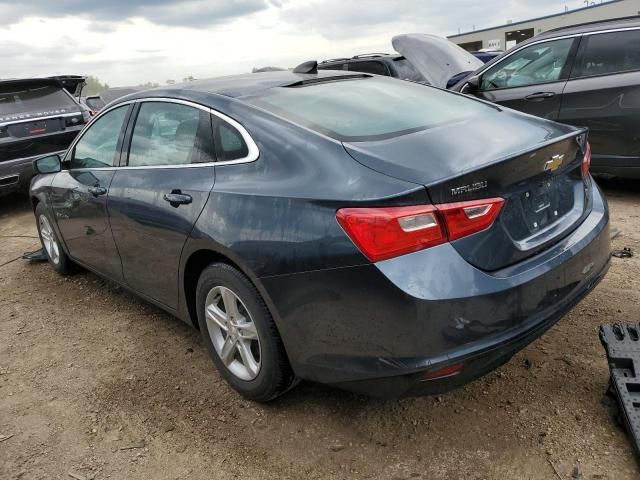 2019 Chevrolet Malibu LS