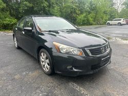 Salvage cars for sale from Copart York Haven, PA: 2008 Honda Accord EXL