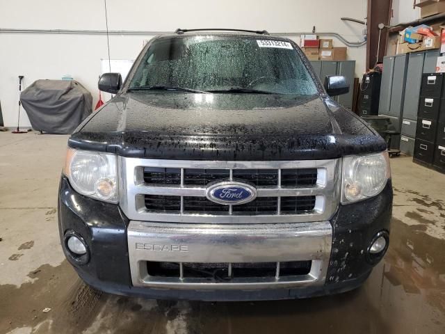 2011 Ford Escape Limited