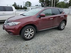 Salvage cars for sale at Graham, WA auction: 2012 Nissan Murano S