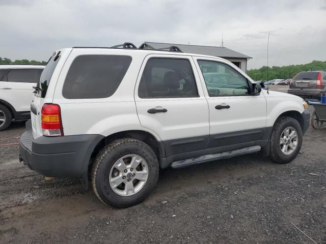 2005 Ford Escape XLT