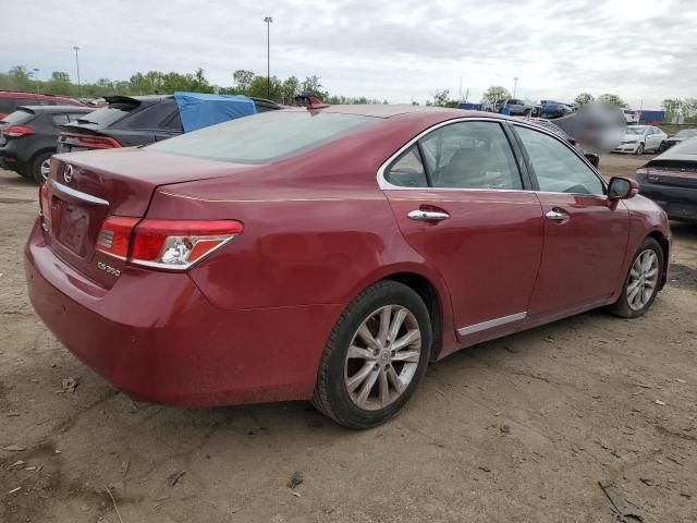 2010 Lexus ES 350