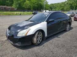 Nissan Maxima SE salvage cars for sale: 2008 Nissan Maxima SE