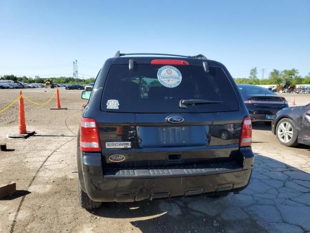 2011 Ford Escape XLT