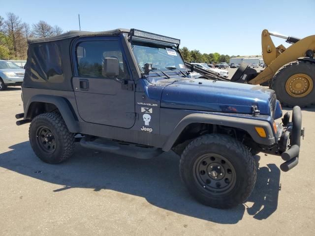 2002 Jeep Wrangler / TJ X