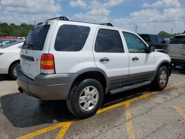 2006 Ford Escape XLT