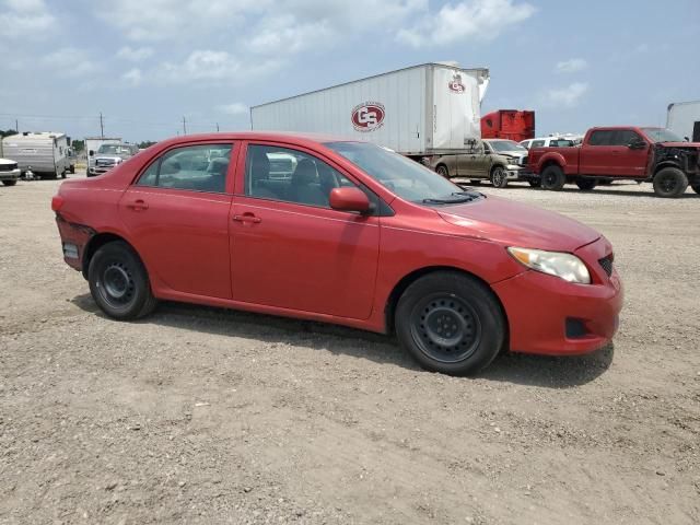 2009 Toyota Corolla Base