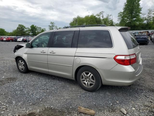 2005 Honda Odyssey EXL