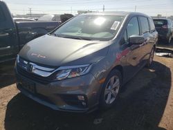 Salvage cars for sale at Elgin, IL auction: 2019 Honda Odyssey EXL