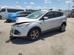 Salvage cars for sale at Harleyville, SC auction: 2014 Ford Escape SE