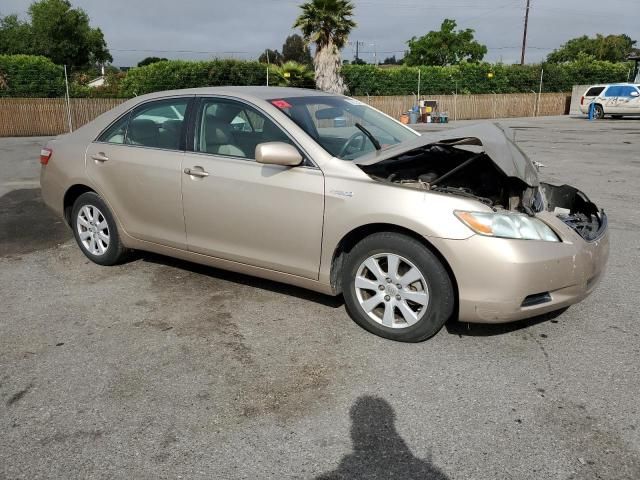 2009 Toyota Camry Hybrid