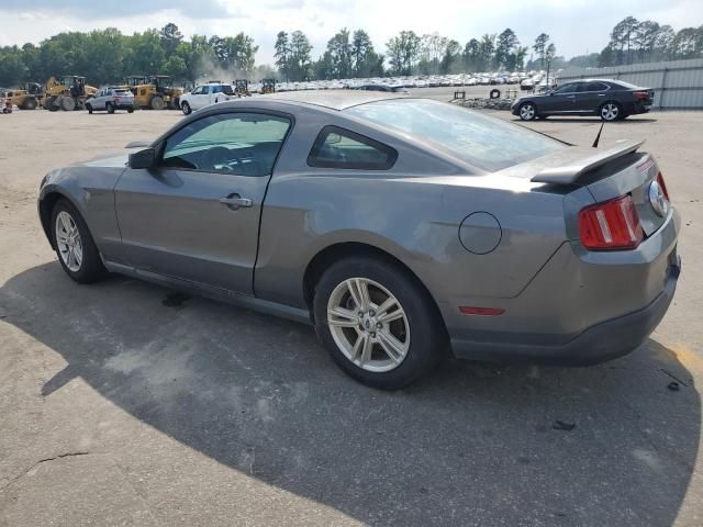 2010 Ford Mustang