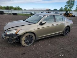 Salvage cars for sale from Copart Columbia Station, OH: 2008 Honda Accord EXL