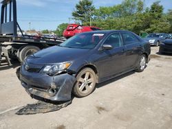 Salvage cars for sale at Lexington, KY auction: 2014 Toyota Camry L