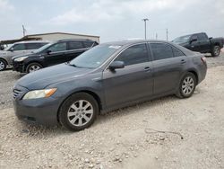 Toyota Camry Hybrid salvage cars for sale: 2008 Toyota Camry Hybrid