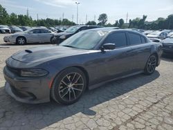 Dodge Charger salvage cars for sale: 2016 Dodge Charger R/T Scat Pack