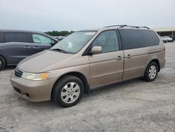 Salvage cars for sale from Copart Madisonville, TN: 2003 Honda Odyssey EXL