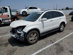 Salvage cars for sale at Van Nuys, CA auction: 2010 Honda CR-V EXL