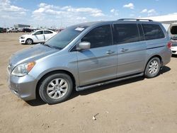 Salvage cars for sale at Brighton, CO auction: 2010 Honda Odyssey EXL