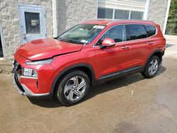 Hyundai Santa FE Vehiculos salvage en venta: 2023 Hyundai Santa FE SEL