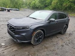 Salvage cars for sale at Marlboro, NY auction: 2023 Honda CR-V Sport Touring