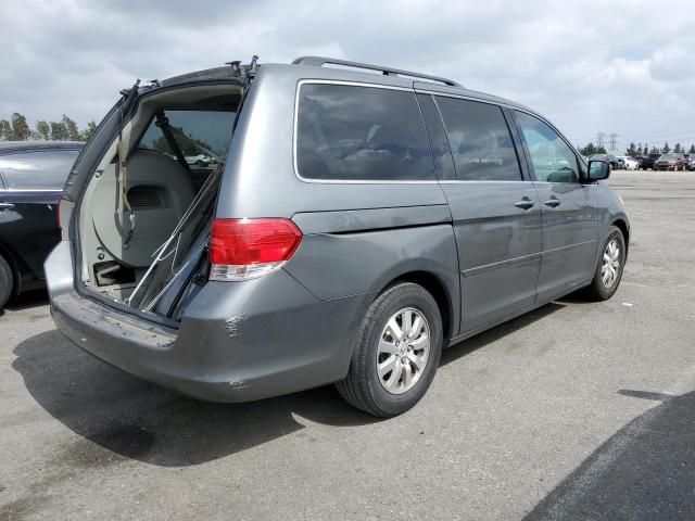 2008 Honda Odyssey EXL