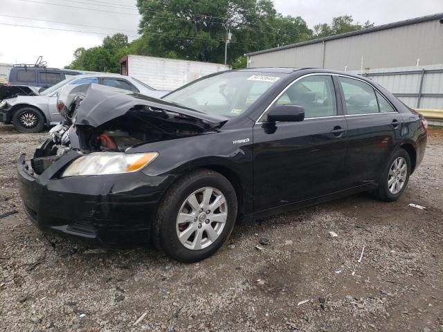 2009 Toyota Camry Hybrid