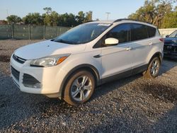 Salvage cars for sale at Riverview, FL auction: 2016 Ford Escape SE