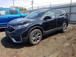 Salvage cars for sale at New Britain, CT auction: 2021 Honda CR-V EX