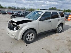 Salvage cars for sale at Fort Wayne, IN auction: 2008 Ford Escape XLT