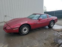 Salvage cars for sale at Duryea, PA auction: 1984 Chevrolet Corvette