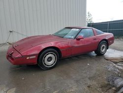 Chevrolet Corvette Vehiculos salvage en venta: 1984 Chevrolet Corvette