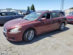 Salvage cars for sale from Copart Hayward, CA: 2013 Nissan Maxima S