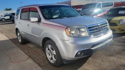 Salvage cars for sale at Phoenix, AZ auction: 2013 Honda Pilot EXL