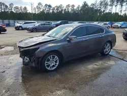 Salvage cars for sale at Harleyville, SC auction: 2009 Acura TL