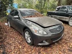 Salvage cars for sale from Copart Midway, FL: 2010 Infiniti G37