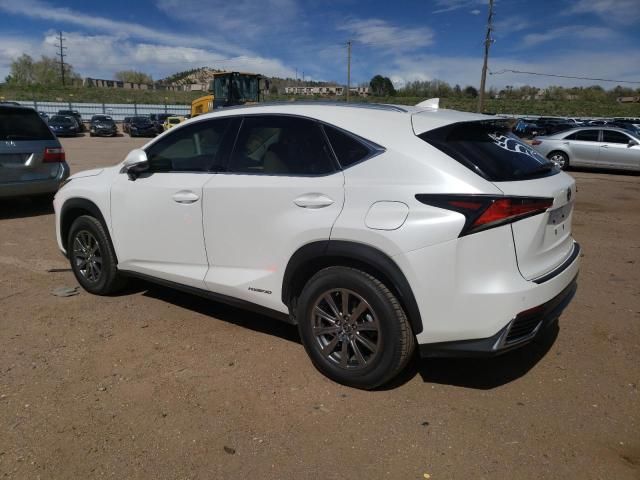 2019 Lexus NX 300H