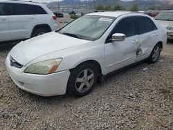 Honda Accord lx salvage cars for sale: 2003 Honda Accord LX